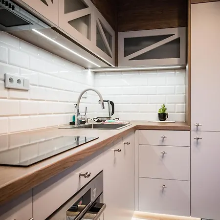 公寓 Old Railway Station View Lubicz Wawelofts *