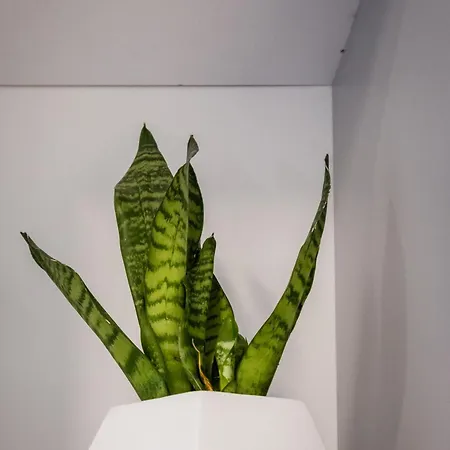 Old Railway Station View Lubicz Wawelofts 克拉科夫