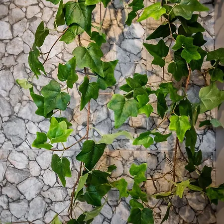 Old Railway Station View Lubicz Wawelofts 公寓