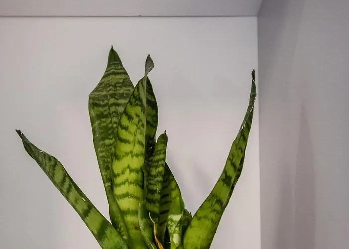 Old Railway Station View Lubicz Wawelofts Kraków